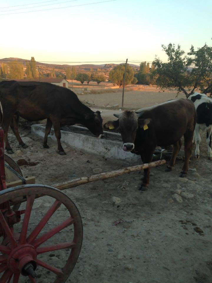 Afyon İhsaniye Demirli Köyü Resimleri 33