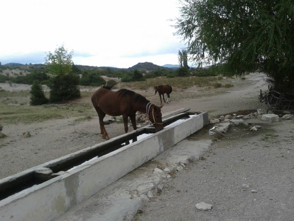 Afyon İhsaniye Demirli Köyü Resimleri 6