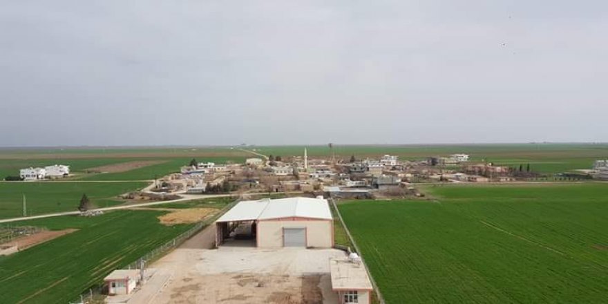 Kızıltepe Günlüce Köyü Resimleri