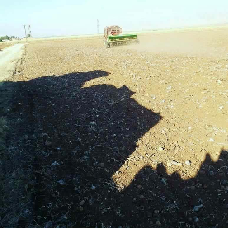 Kızıltepe Hacıhasan Köyü 2