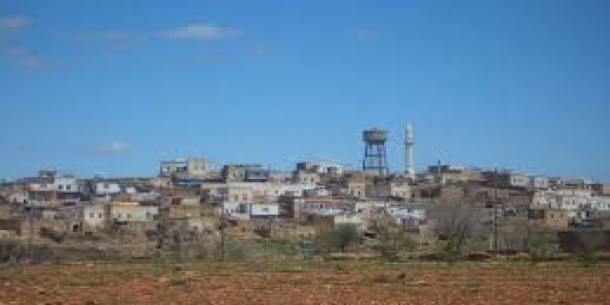 Kızıltepe Işıklar Köyü Resimleri