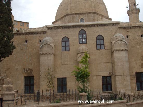 Kızıltepe Karakuyu Köyü Resimleri 1