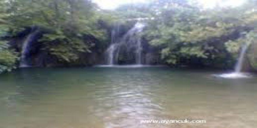 Kızıltepe Karaman Köyü Resimleri