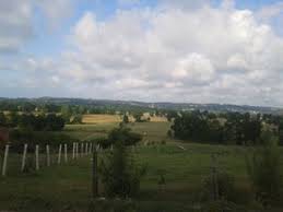 Kızıltepe Kayacık Köyü Resimleri 1