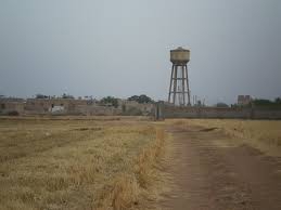 Kızıltepe Salkım Köyü Resimleri 1