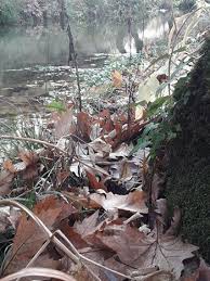 Kızıltepe Salkım Köyü Resimleri 2