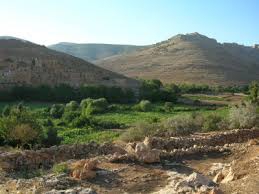 Kızıltepe Soğanlı Köyü Resimleri 2