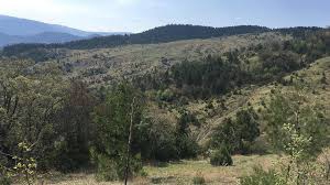 Kızıltepe Soğanlı Köyü Resimleri 3