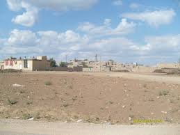 Kızıltepe Yumrucuk Köyü Resimleri 2