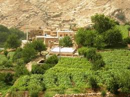 Kızıltepe Yüceli Köyü Resimleri 2