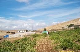 Mazıdağı Arıköy Köyü Resimleri 5