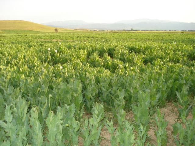 Afyon Sandıklı Alagöz Köyü Resimleri 31