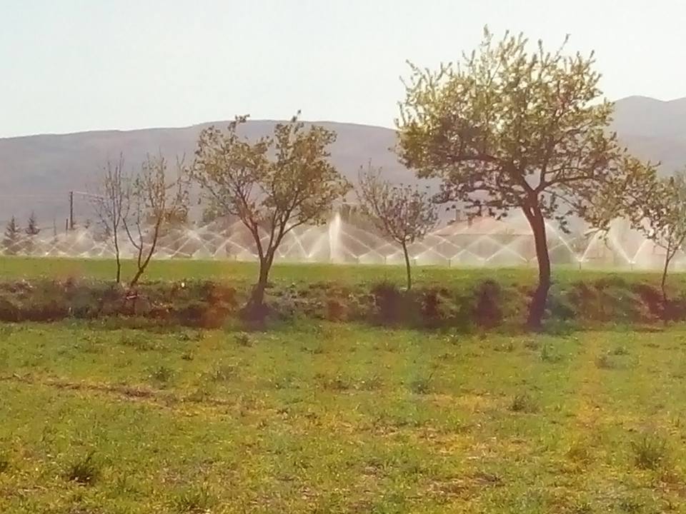 Afyon Sandıklı Ballık Köyü Resimleri 2