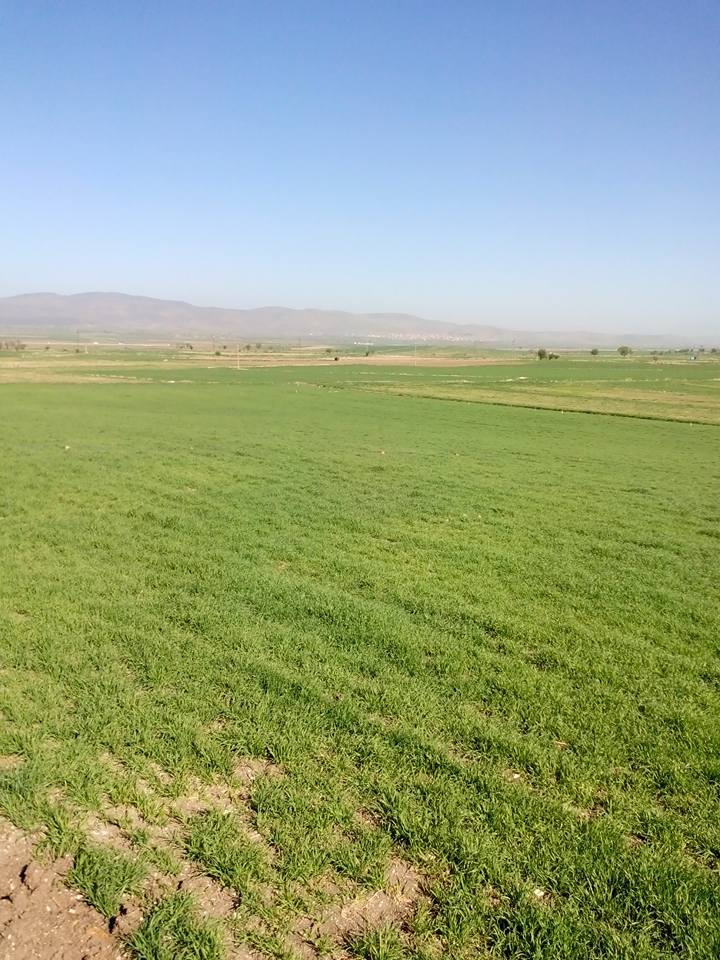 Afyon Sandıklı Ballık Köyü Resimleri 21