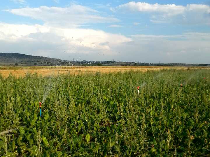 Afyon Sandıklı Ballık Köyü Resimleri 28