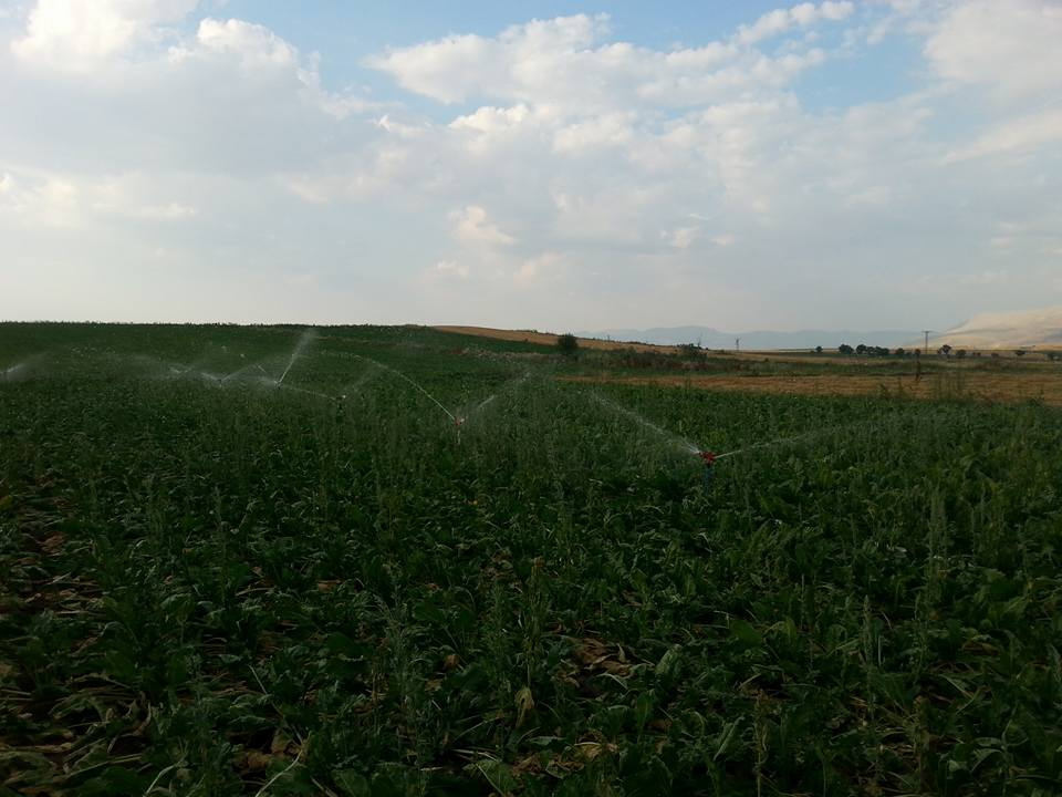 Afyon Sandıklı Ballık Köyü Resimleri 7