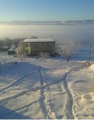 Mazıdağı Ürünlü Köyü Resimleri 2