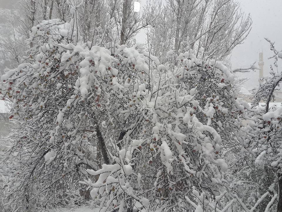 Gümüşhane  Dölek  Köyü Resimleri 3