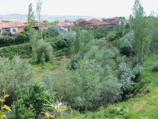 Çorum Sungurlu Oyaca Köyü Resimleri 9