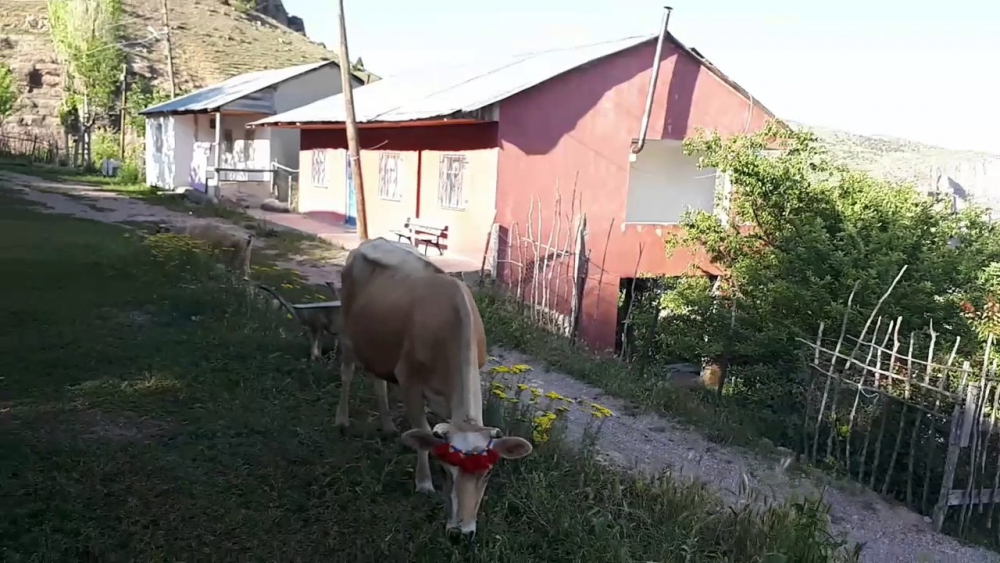 Gümüşhane  Düğünyazı  Köyü Resimleri 2