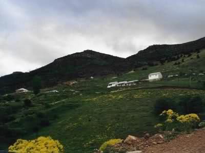 Gümüşhane  Düğünyazı  Köyü Resimleri 3