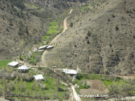 Gümüşhane  Düğünyazı  Köyü Resimleri 4