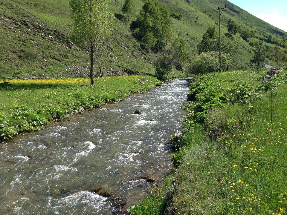 Gümüşhane  Düğünyazı  Köyü Resimleri 5