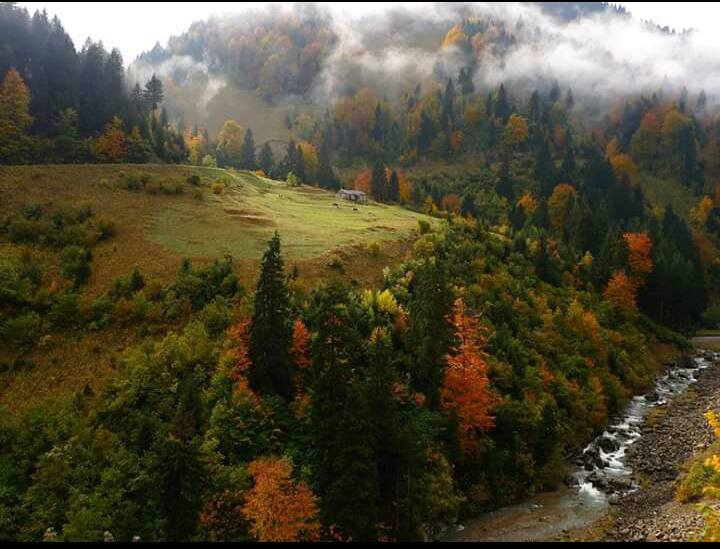 Gümüşhane  Erdemler  Köyü Resimleri 2