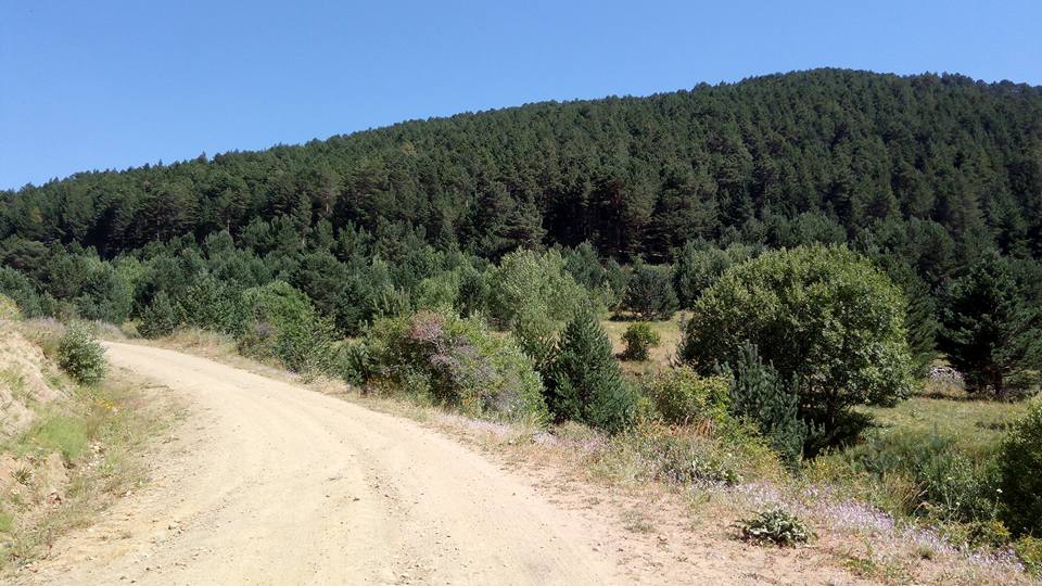 Gümüşhane  Erdemler  Köyü Resimleri 3