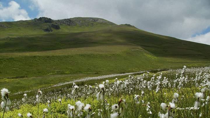 Gümüşhane  Esenler  Köyü Resimleri 2