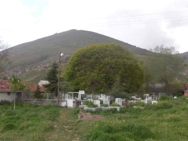 Horasan Bahçe Köyü Resimleri 6