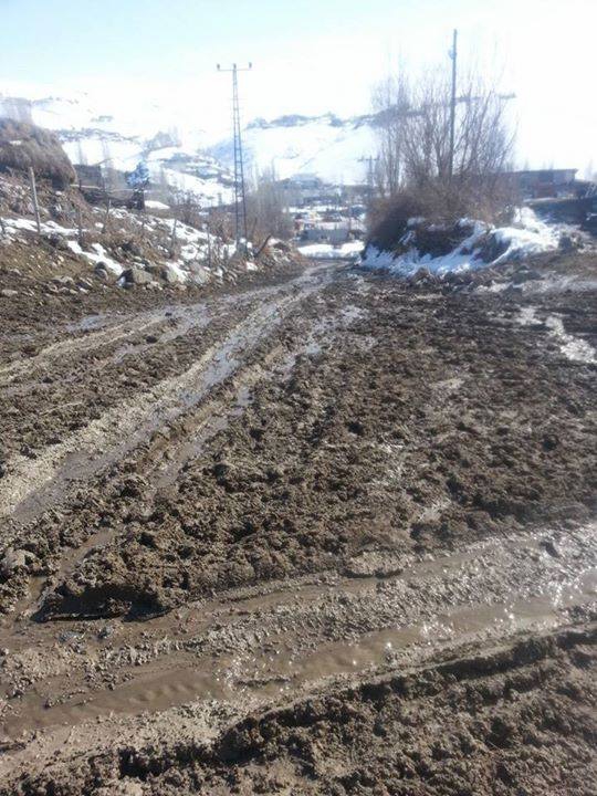 Horasan Bulgurlu Köyü Resimleri 2