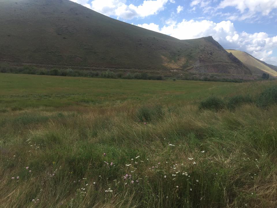 Horasan Bulgurlu Köyü Resimleri 5