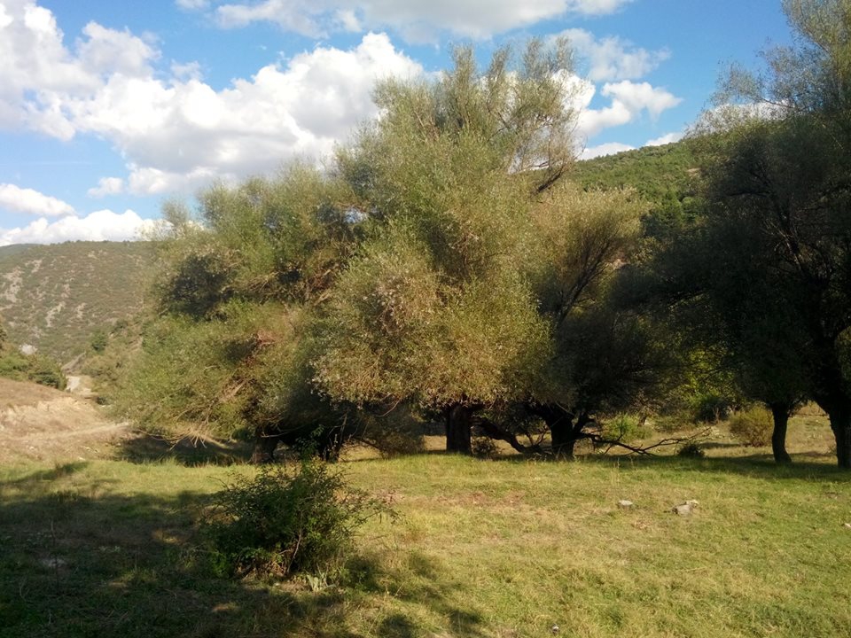 Afyon Sandıklı Kızılca Köyü Resimleri 21