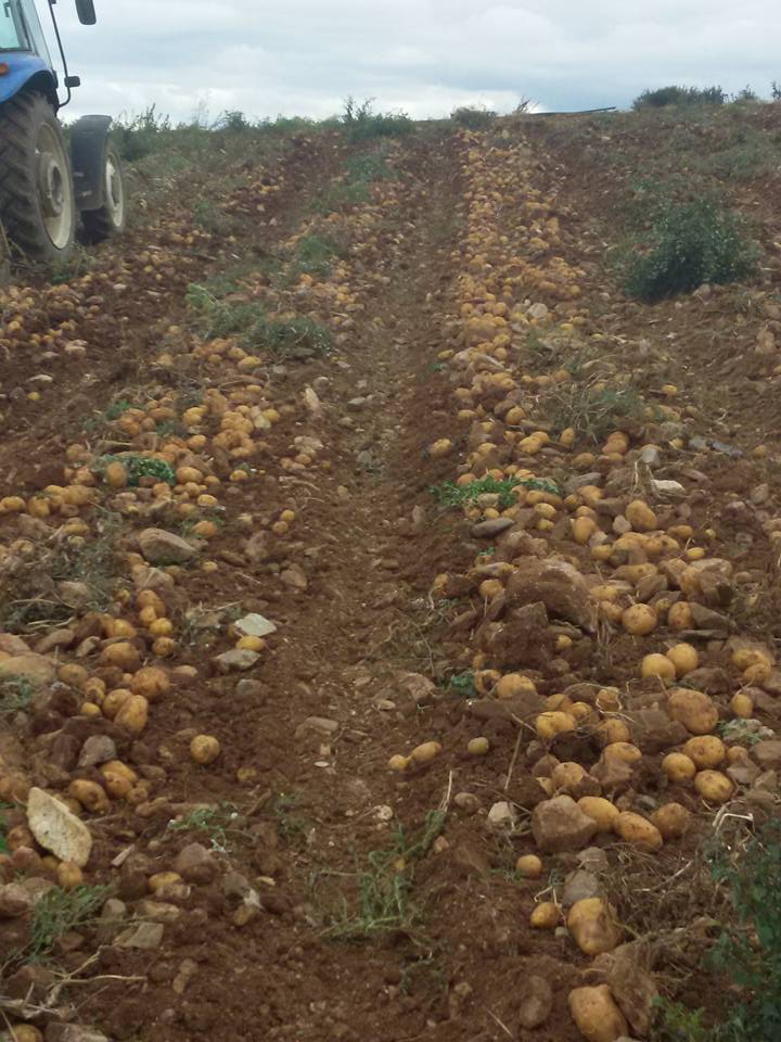 Afyon Sandıklı Kızılca Köyü Resimleri 25