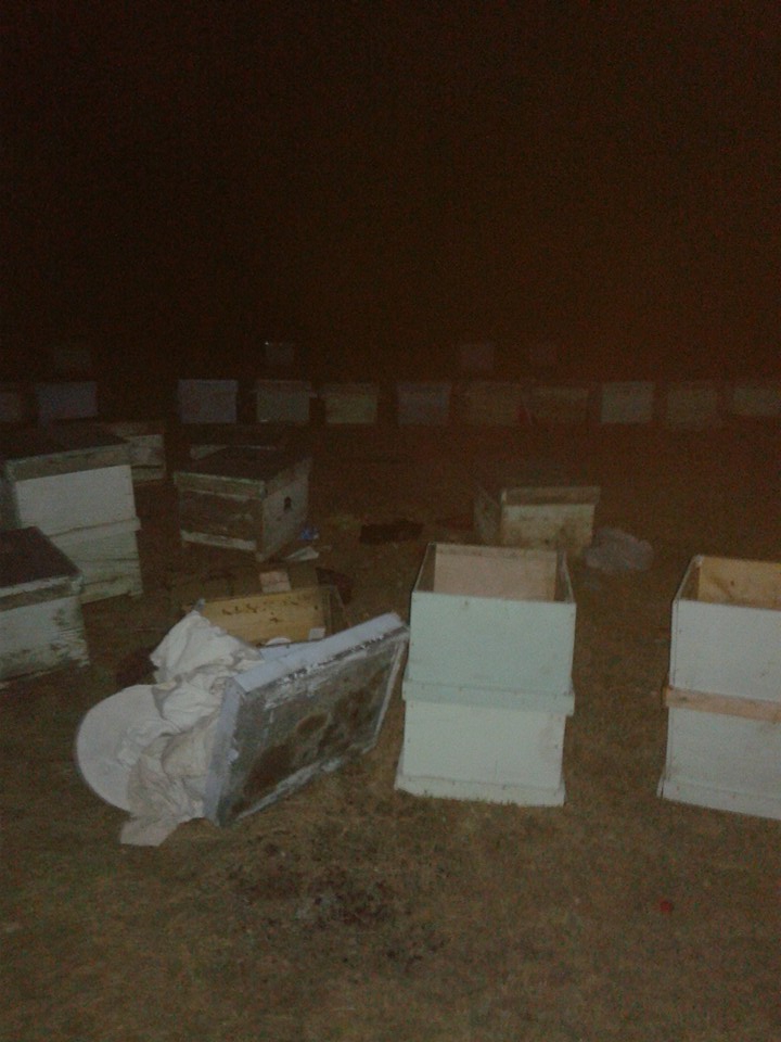 Afyon Sandıklı Kızılca Köyü Resimleri 26