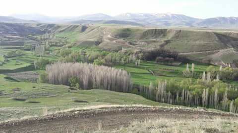 Horasan Danişment Köyü Resimleri 2