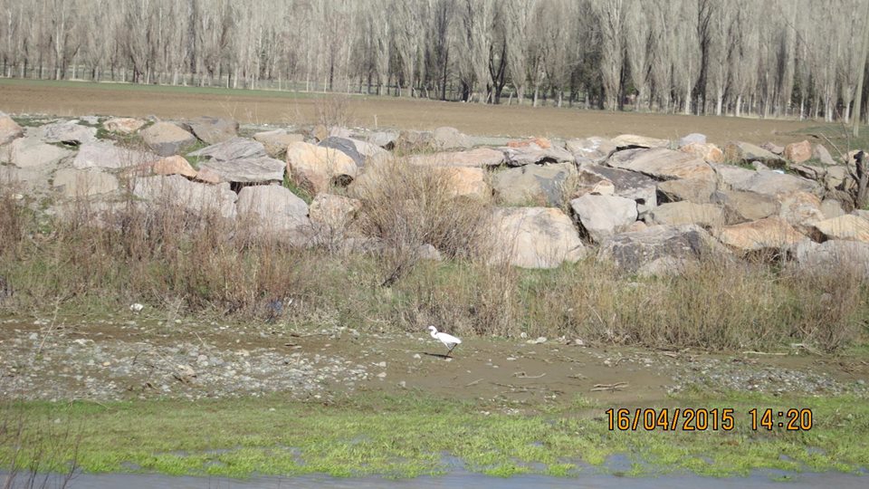 Horasan Değirmenler Köyü Resimleri 1
