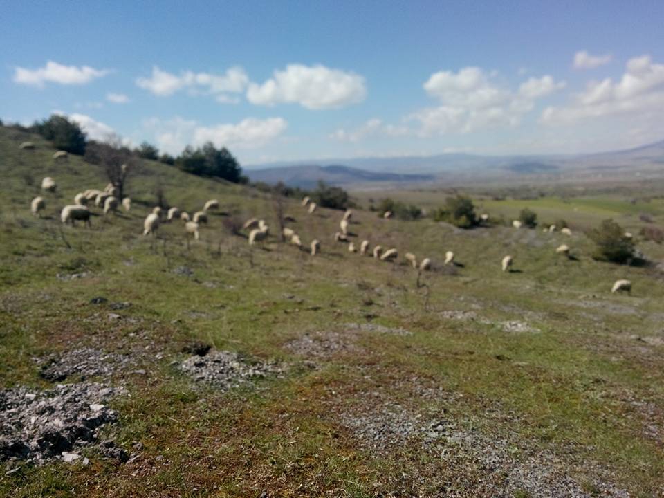 Afyon Sandıklı Koçgazi Köyü Resimleri 1
