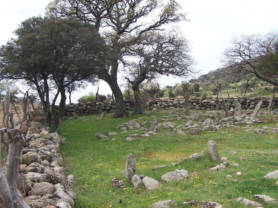 Horasan Dikili Köyü Resimleri 3