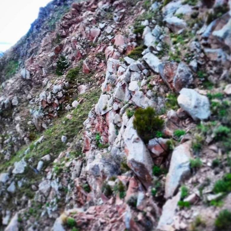 Horasan Dikili Köyü Resimleri 6