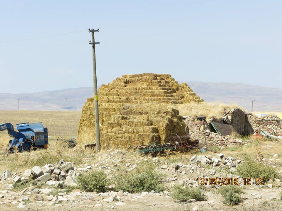 Horasan Döllek Köyü Resimleri 5