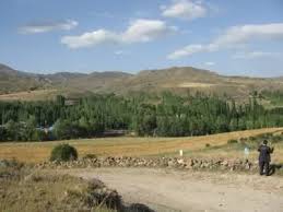 Horasan Dönertaş Köyü Resimleri 2