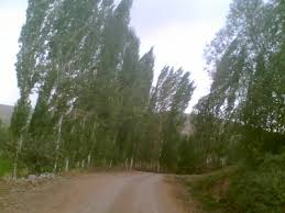 Horasan Dönertaş Köyü Resimleri 7