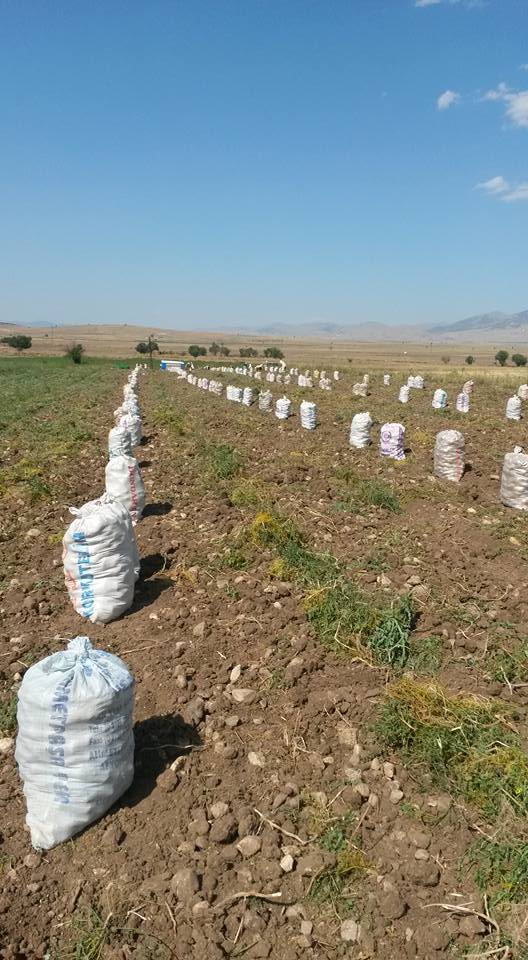 Afyon Sandıklı Kusura Köyü Resimleri 2
