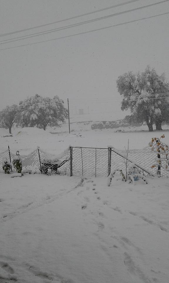 Horasan İğdeli Köyü Resimleri 7