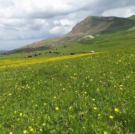 Horasan Kadıcelal Köyü Resimleri 1