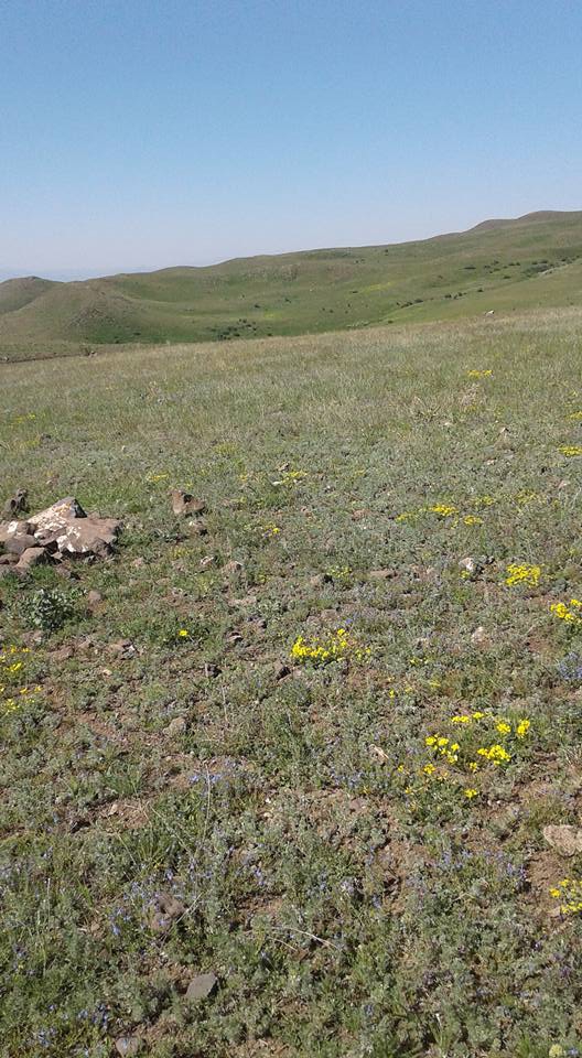 Horasan Kalender Köyü Resimleri 1