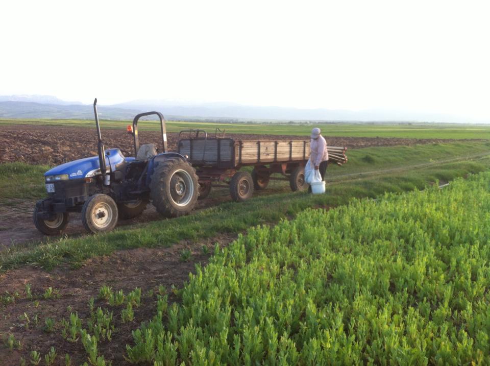 Afyon Sandıklı Kuyucak Köyü Resimleri 11
