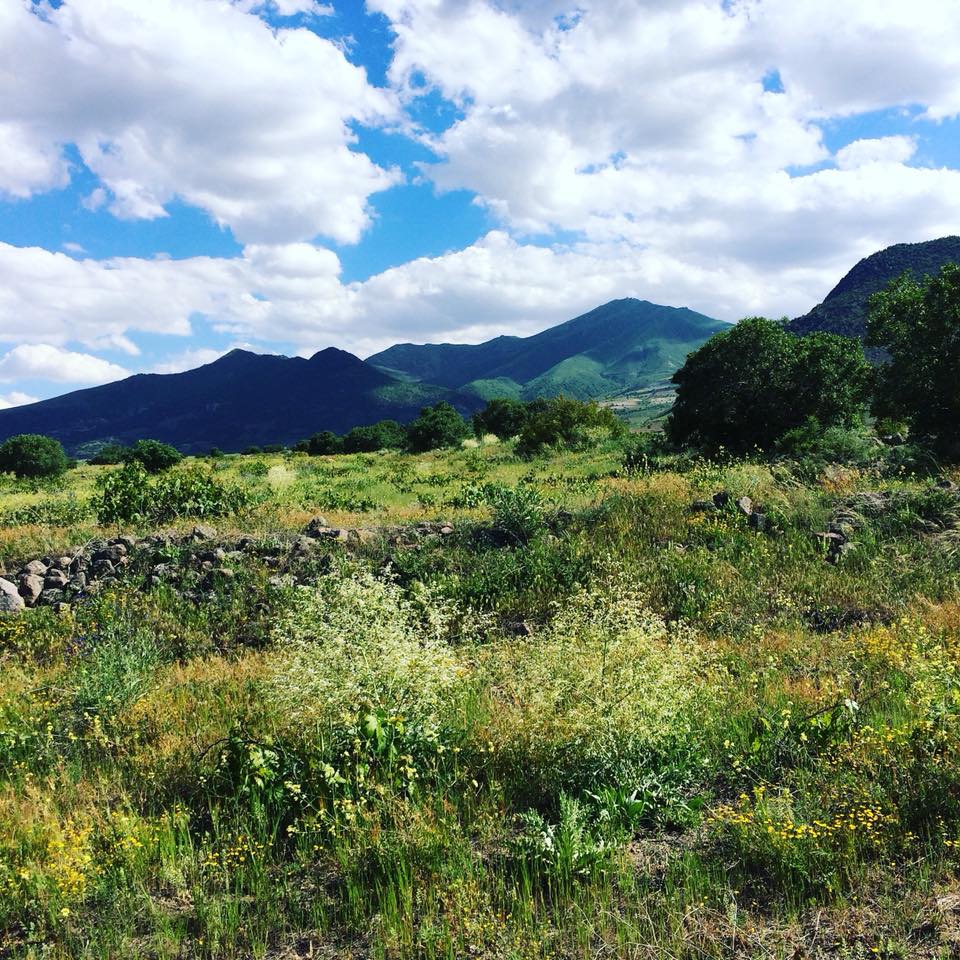 Horasan Karacaören Köyü Resimleri 6